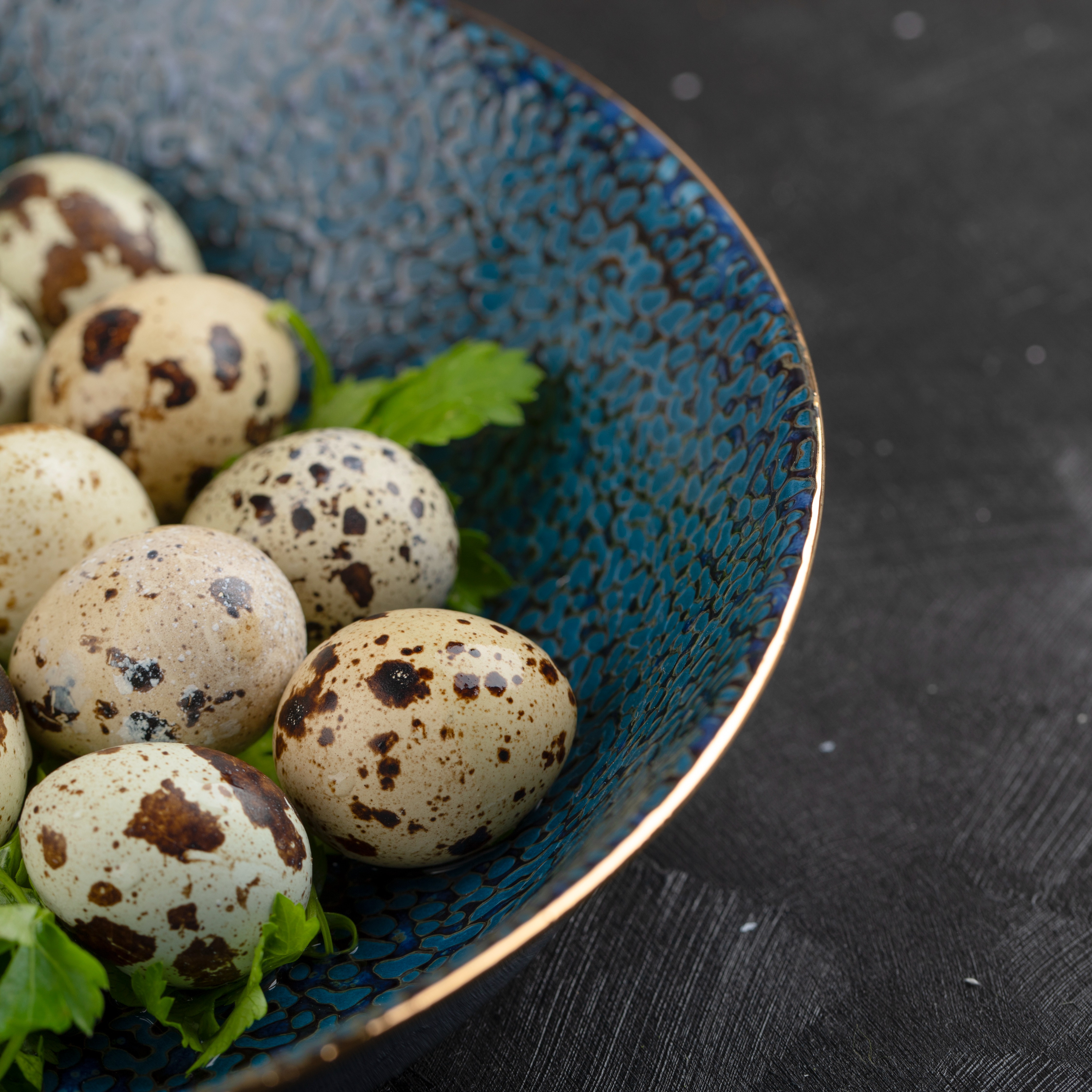 Agsu Bıldırcın Çiftliği - Bıldırcın Yumurtası (10 paket)