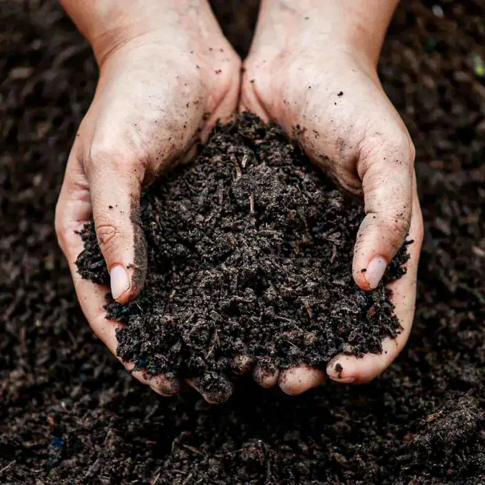 Agsu Bıldırcın Çiftliği - Naturel Bıldırcın Gübresi (10 kg)