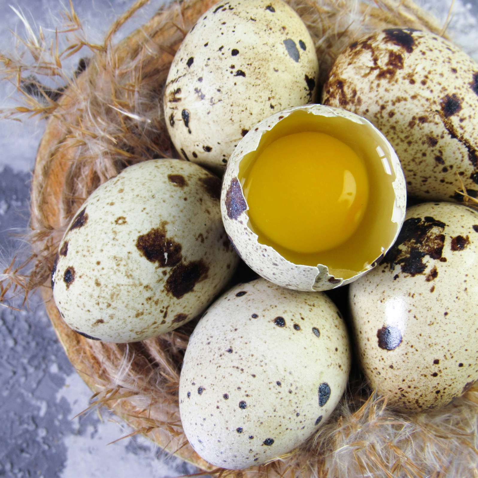 Agsu Bıldırcın Çiftliği - Bıldırcın Yumurtası Ekonomik Paket (24 Adet)